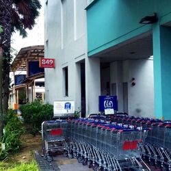 Blk 839 Yishun Street 81 (Yishun), HDB 3 Rooms #564060791